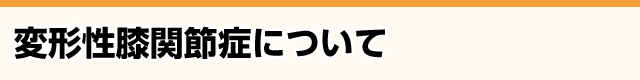 変形性膝関節症とは