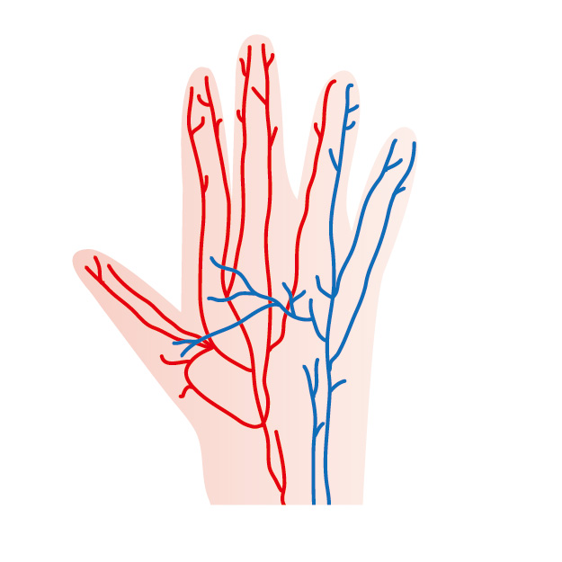 ばね指の血流低下原因