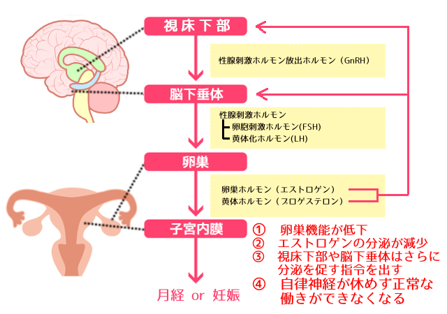 更年期障害の原因