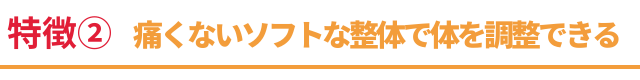 施術の特徴２　痛くないソフトな整体で問題を調整